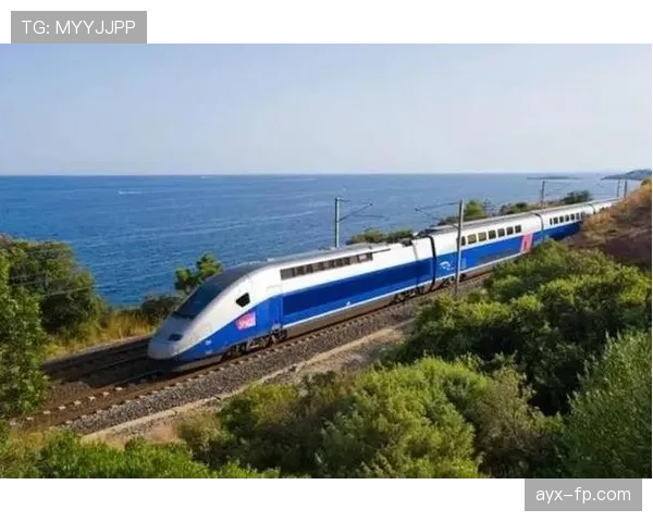 哥伦比亚青训体系持续升级，新星涌现引全球关注