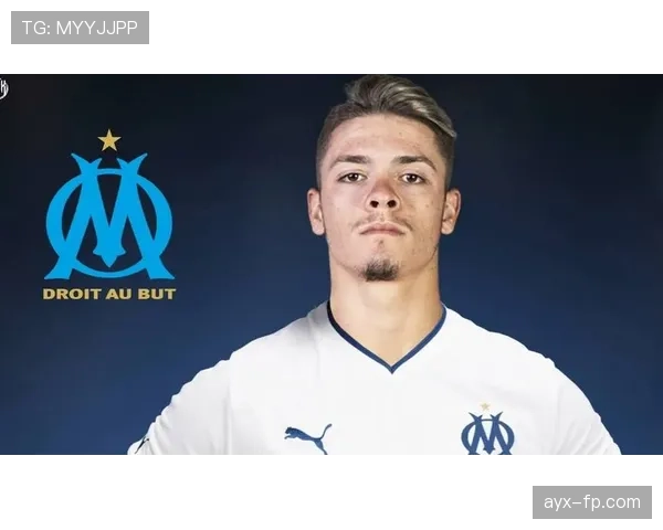 维蒂尼亚是否依赖体系？战术角色与独立贡献解析